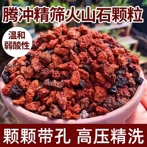 火山石鱼缸专用颗粒火山石养花专用蝴蝶兰专用底砂滤材兰花用免洗