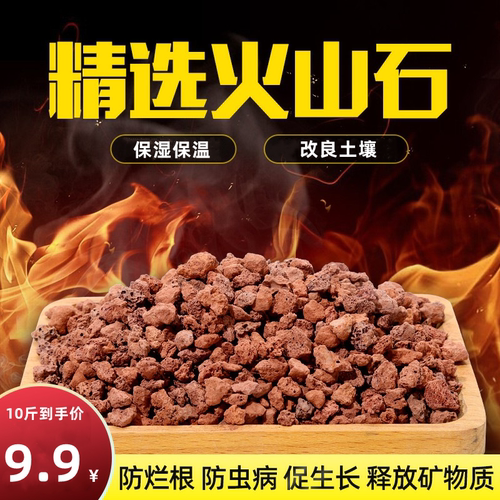 红火山石颗粒10斤只卖9.9