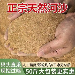 天然河沙种植养花拌土黄沙细沙乌龟养殖粗河沙鱼缸造景底砂铺面砂