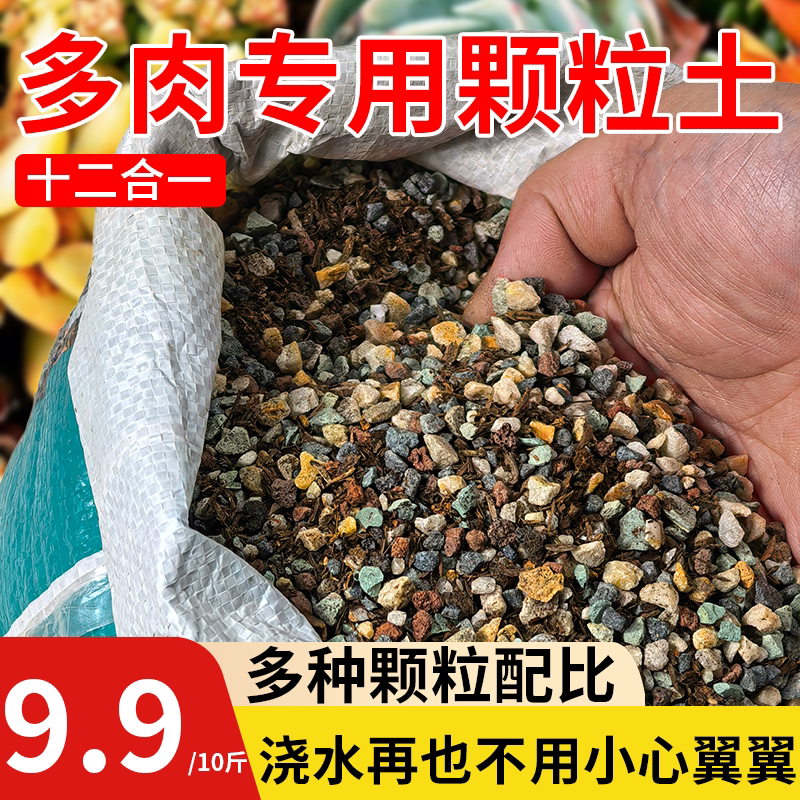 多肉专用颗粒土仙人球专用多肉颗粒土70营养土多肉植物花土铺面石
