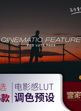lut预设调色滤镜插件电影感调色PRPS达芬奇FCPX剪映汽车时尚人文