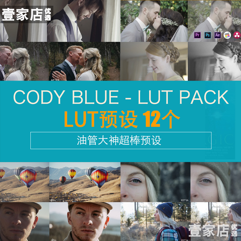 素材CODYBLUE索尼vslog预设LUT胶片文艺旅拍PS滤镜pr达芬奇FCPX