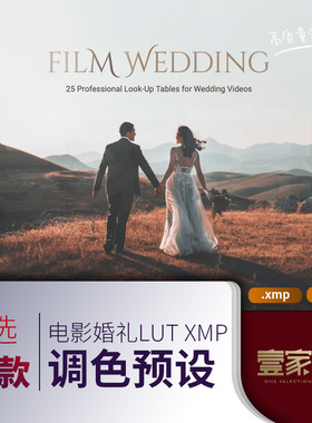 lut婚礼预设婚纱情侣调色滤镜插件电影感PRPS达芬奇FCPX剪映时尚