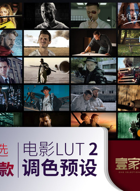 lut预设电影调色滤镜插件感调色PRPS达芬奇FCPX剪映人像人文时尚