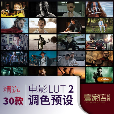 lut预设电影调色滤镜插件感调色PRPS达芬奇FCPX剪映人像人文时尚