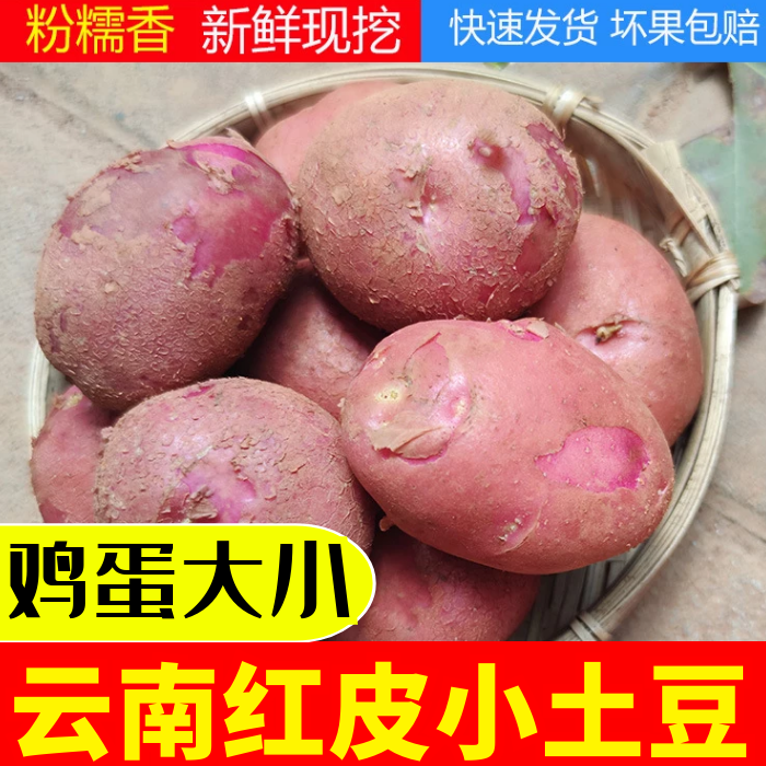 云南红皮小土豆黄心洋芋10斤包邮马铃薯鸡蛋大小新鲜蔬菜农家自种