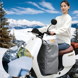 簡約電動電瓶車擋風被加厚保暖罩加絨雙面防水分體式 冬天春秋冬季