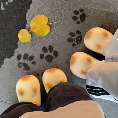 猫爪拖鞋足弓防水棉拖鞋女男秋冬季2025新款加绒保暖情侣居家外出