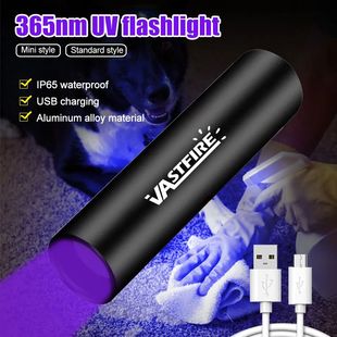 3W Mini 365nm UV Flashlight Ultraviolet Blacklight USB Recha