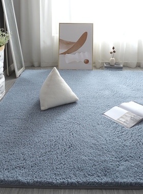 Lamb Velvet Carpet Floor Soft Mat Living Room Bedside Rugs