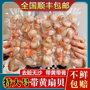 扇贝肉新鲜冷冻去内脏海鲜水产超特大号红贝商用1500g顺丰 包邮