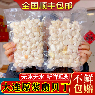 大连原浆扇贝丁新鲜冷冻扇贝柱肉元贝丁大号瑶柱海鲜5袋顺丰包邮