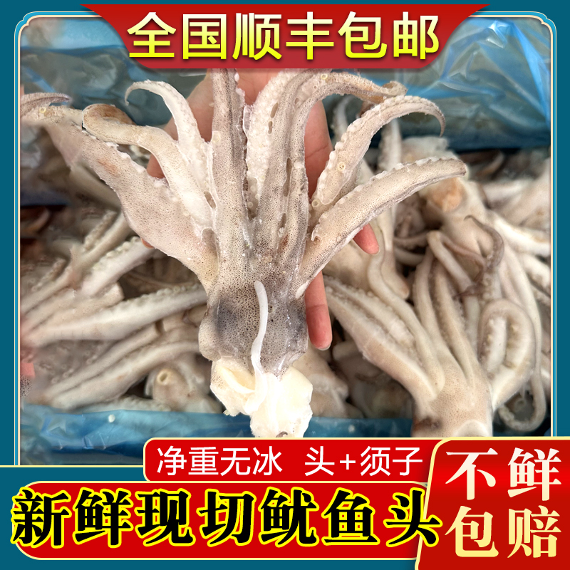 大连鱿鱼头冷冻新鲜鱿鱼海鲜火箭鱿鱼须海捕烧烤铁板3斤顺丰包邮