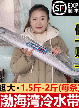 渤海湾整条带鱼新鲜网捞顺丰包邮
