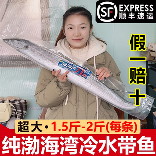【纯渤海湾】网捞整条刀带鱼海鲜整条雷达网小眼东海鱼新鲜活3斤