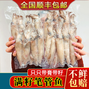海兔子满籽墨鱼仔新鲜海兔鲜活带籽笔管鱼大乌贼籽乌鱿鱼海鲜水产