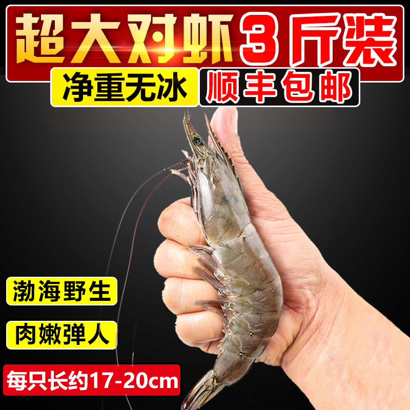 【大连渤海大虾】鲜活超对虾青虾基围虾白虾新鲜海鲜冷冻3斤顺丰