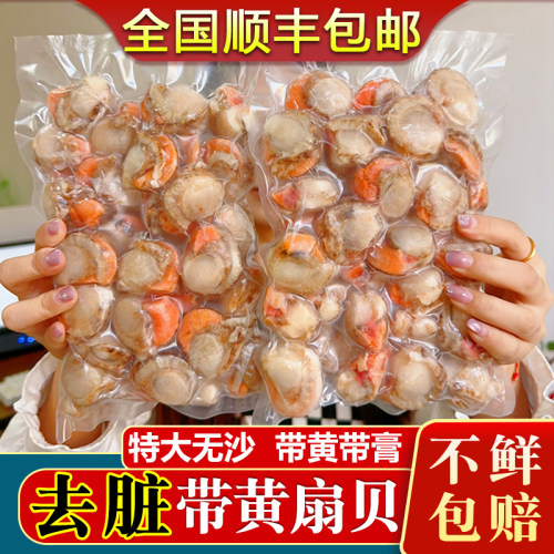 扇贝肉鲜活冷冻超大1500g顺丰