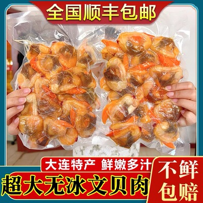 大连超大文贝肉鲜活冷冻花甲丹东黄蚬子肉蛤蜊肉花蛤无沙400g顺丰