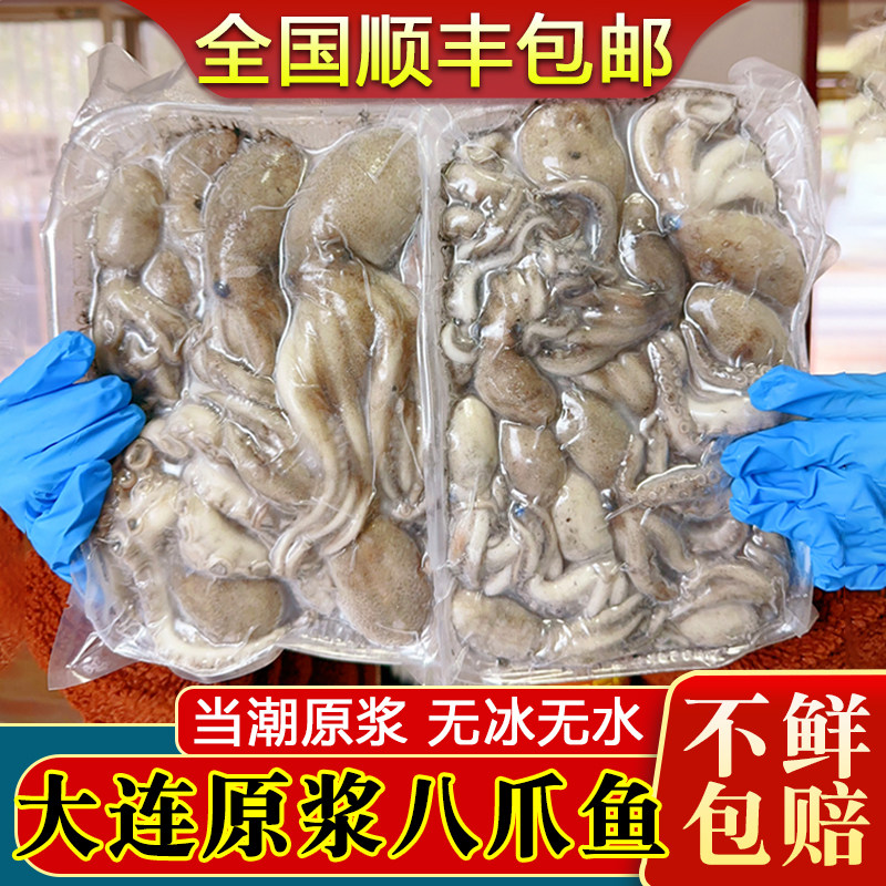 新鲜八爪鱼鲜活冷冻小章鱼迷你八抓鱼章鱼足超大爆头3斤顺丰包邮