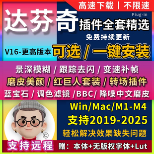 达芬奇全套插件教程调色蓝宝石bcc红巨人星滤镜转场lut降噪软件