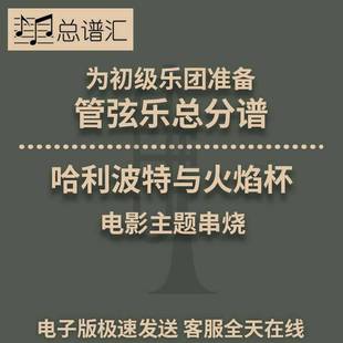 管弦樂交響樂 總譜分譜MP3 初級樂團2.5級 哈利波特與火焰杯