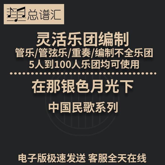 在那银色月光下 2级 灵活乐团编制  管弦乐 木管五重奏 总分谱MP3