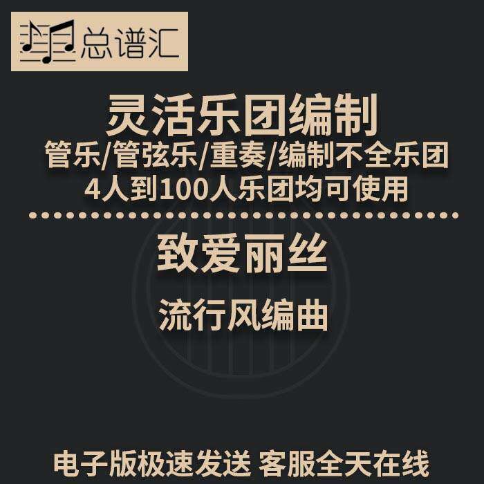 致爱丽丝 流行风编曲 2.5级 灵活乐团编制 管弦乐 总分谱 MP3