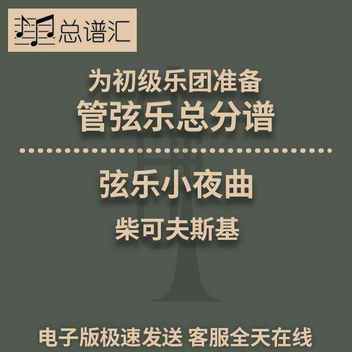 弦乐小夜曲柴可夫斯基 初级乐团5级 管弦乐交响乐 总谱分谱MP3