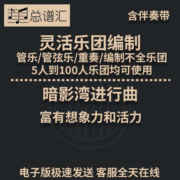 暗影湾进行曲 富有想象力 2.5级 活乐团编制 管弦乐 总分谱 MP3