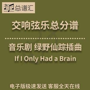 音乐剧 绿野仙踪插曲 1级交响弦乐队总谱 分谱 总分谱 MP3
