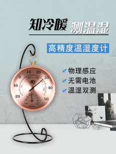 欧式挂件室内温湿度计家用精准创意摆件温度计儿童房干湿温度表