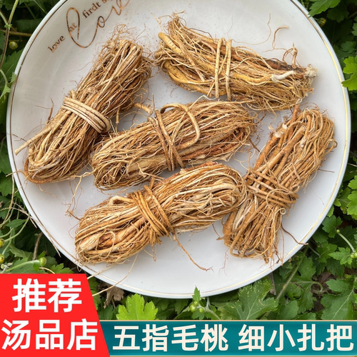 广西五指毛桃细小扎把煲汤