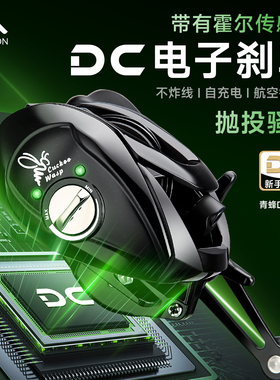 皓顿青蜂DC水滴轮鱼线轮微物泛用远投路亚轮海钓渔轮电子刹车防炸