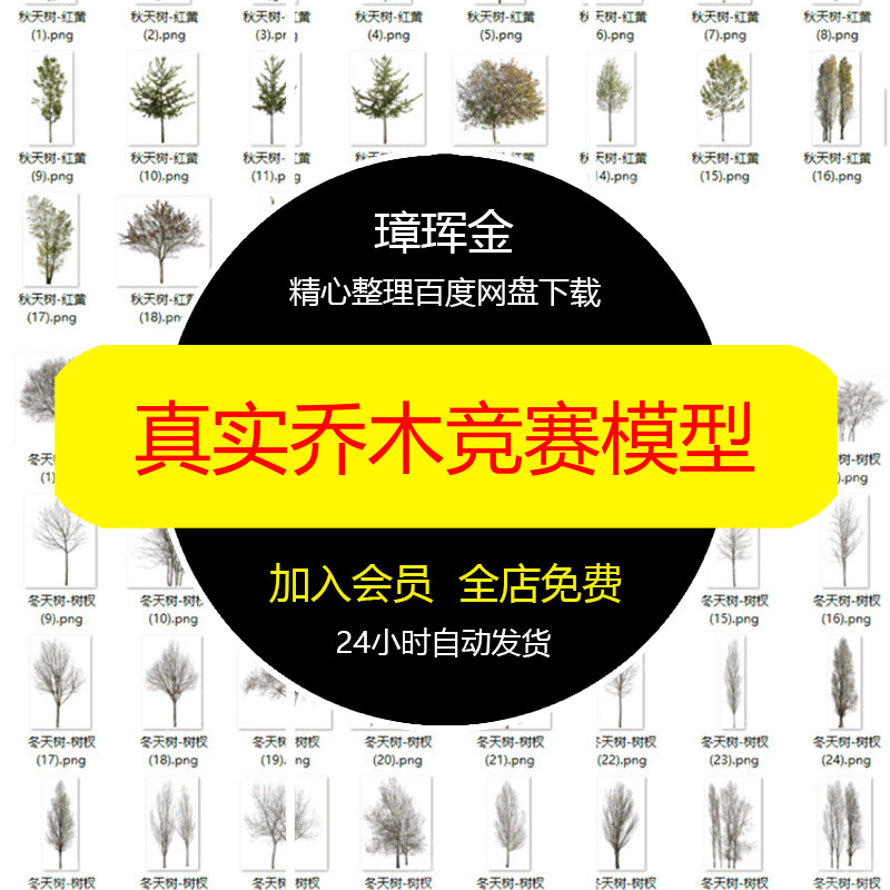 真实园林景观高清竞赛素材库贴图png乔木植物免扣PS秋季模型vc25