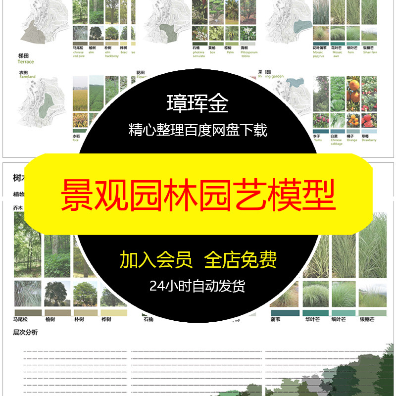 种植分析图园艺绿植分层景观园林植物搭配配置树木PSD模型cd35