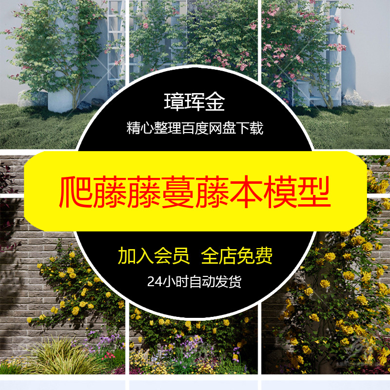 草图欧洲花架围墙玫瑰花藤蔓植物月季树状SU模型绿植大师模型is11