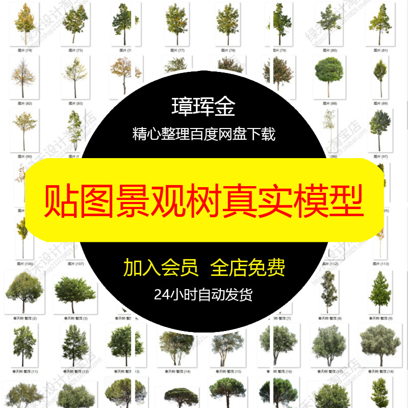 乔木免扣贴图园林秋季真实素材景观树树木植物png高清模型cj09