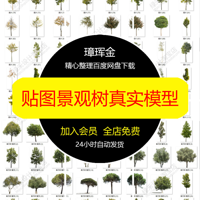 PNG乔木园林秋季植物免扣真实景观素材贴图竞赛高清PS模型bw20