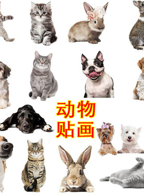 卡通动物儿童房客厅pvc墙贴防水