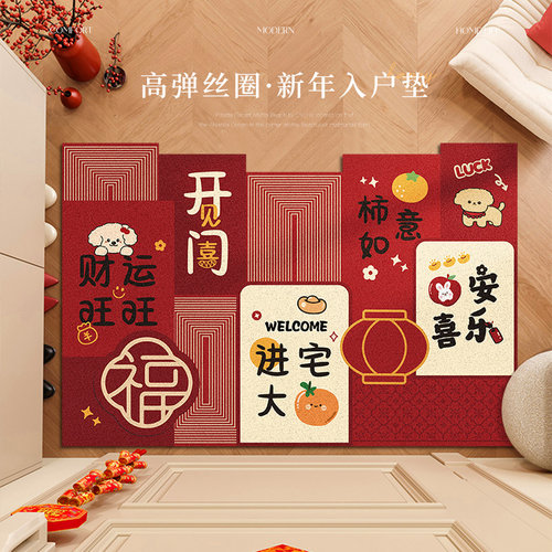入户门耐脏免洗丝圈地垫
