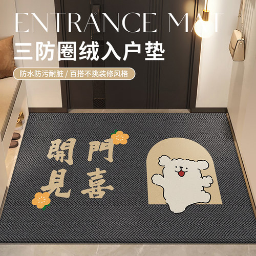 入户门垫进门地垫高级感2024新款