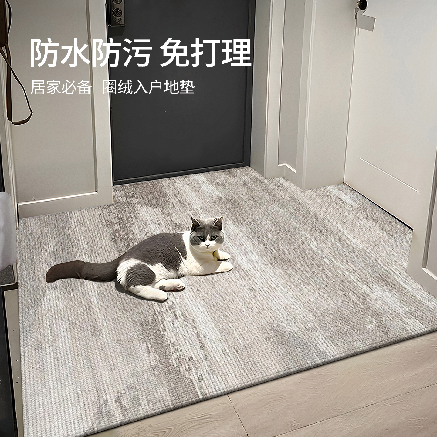 入户门地垫高级感家用防滑除尘垫