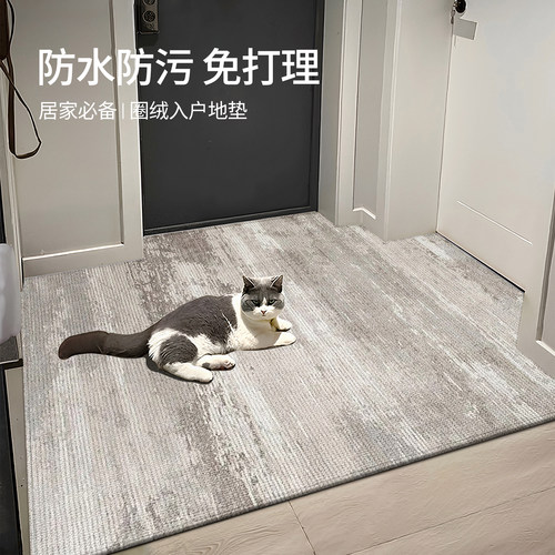 入户门地垫高级感家用防滑除尘垫