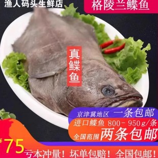 鲽鱼整条冰鲜鸦片鱼新鲜比目鱼800 950g海鲜深海比目鱼营养海产品