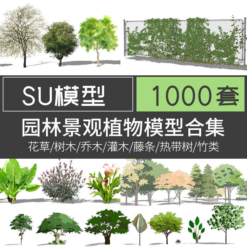 园林景观植物SU模型花草树木竹子乔木花卉灌木手绘真实2D3D素材库