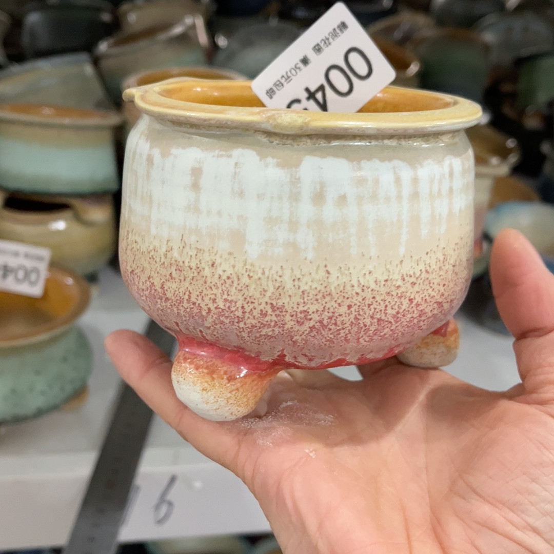 0045口径8,家居饰品,花盆,淘宝优惠券,粉丝福利购,淘宝优惠卷