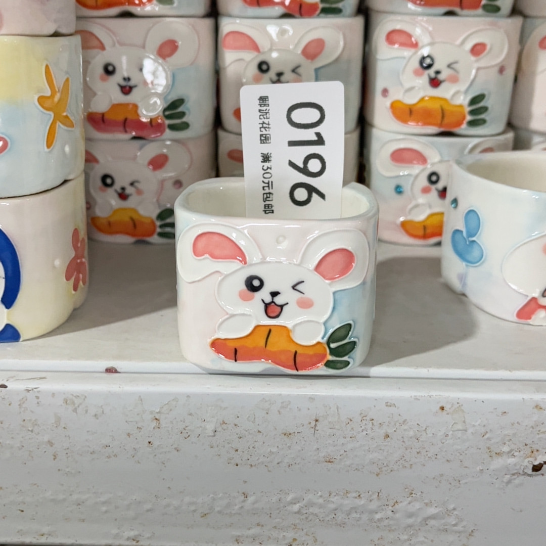 0196口4.5,家居饰品,花盆,淘宝优惠券,粉丝福利购,淘宝优惠卷