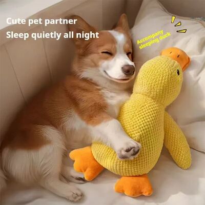 Cute dog Toy Stomping Duck Bite Resistant Grinding Teeth Cle