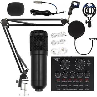 Bm800 condenser microphone + V8 sound card computer recordin